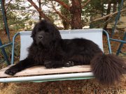 Превью фото № 223112