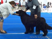 Превью фото № 223135