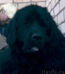 Превью фото № 22315