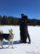 Превью фото № 223187