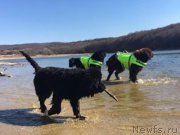 Превью фото № 223244