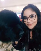 Превью фото № 223327