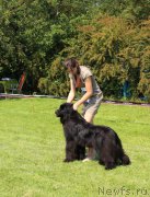 Превью фото № 223370