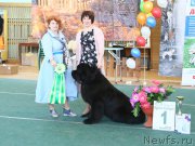 Превью фото № 223373