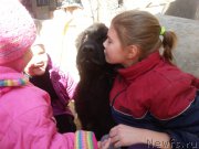 Превью фото № 223432