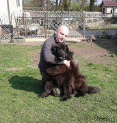 Превью фото № 223447