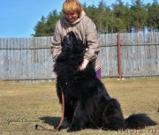 Превью фото № 223471