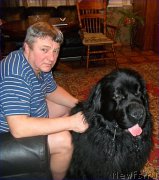 Превью фото № 223505