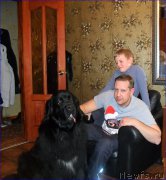 Превью фото № 223513