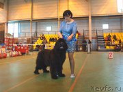 Превью фото № 223537