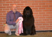 Превью фото № 223583