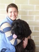 Превью фото № 223609