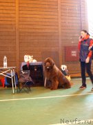 Превью фото № 223611