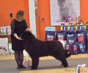 Превью фото № 223613