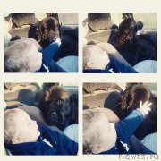 Превью фото № 223734