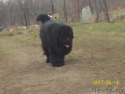 Превью фото № 223735