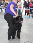 Превью фото № 223760