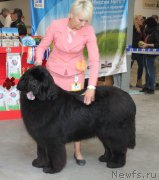 Превью фото № 223762