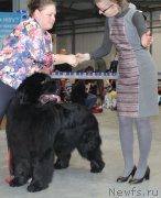 Превью фото № 223763