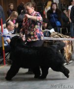 Превью фото № 223773