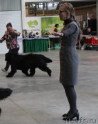 Превью фото № 223785