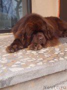 Превью фото № 223797