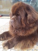 Превью фото № 223798