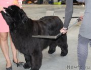 Превью фото № 223800