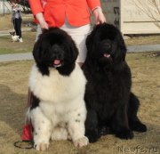 Превью фото № 223803