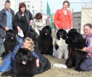 Превью фото № 223810