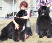 Превью фото № 223811