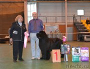 Превью фото № 223844