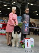 Превью фото № 223863