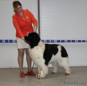 Превью фото № 223864