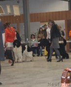 Превью фото № 223865