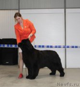 Превью фото № 223870