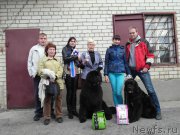 Превью фото № 223872