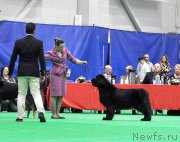 Превью фото № 223909