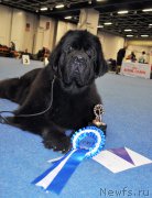 Превью фото № 223914