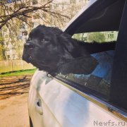 Превью фото № 224039