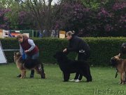 Превью фото № 224055