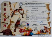 Превью фото № 224084