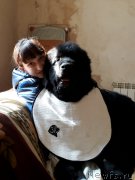 Превью фото № 224086