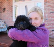 Превью фото № 224097