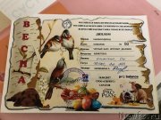 Превью фото № 224104