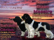 Превью фото № 224147