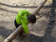 Превью фото № 224173