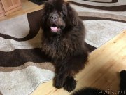 Превью фото № 224179