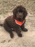 Превью фото № 224188