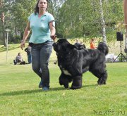 Превью фото № 224226